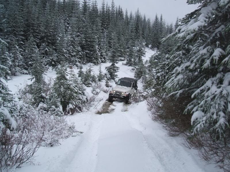 Naches Pass/Clover Springs snow run 12 Nov 11 - JeepForum.com